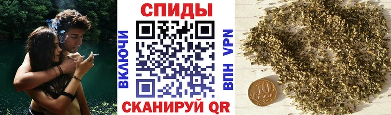 Купить где  Протвино  Бутират буратино 