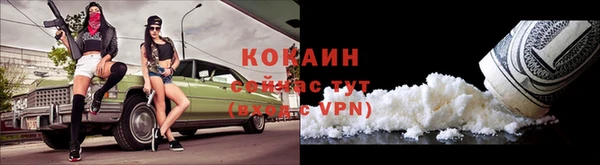 твердый Касимов