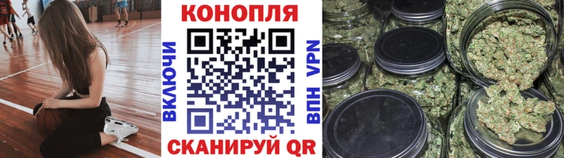 Купить закладки  Протвино  Бошки Шишки VHQ 